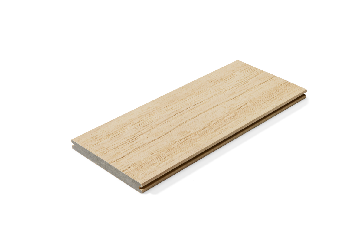 Beech - Coastal Range