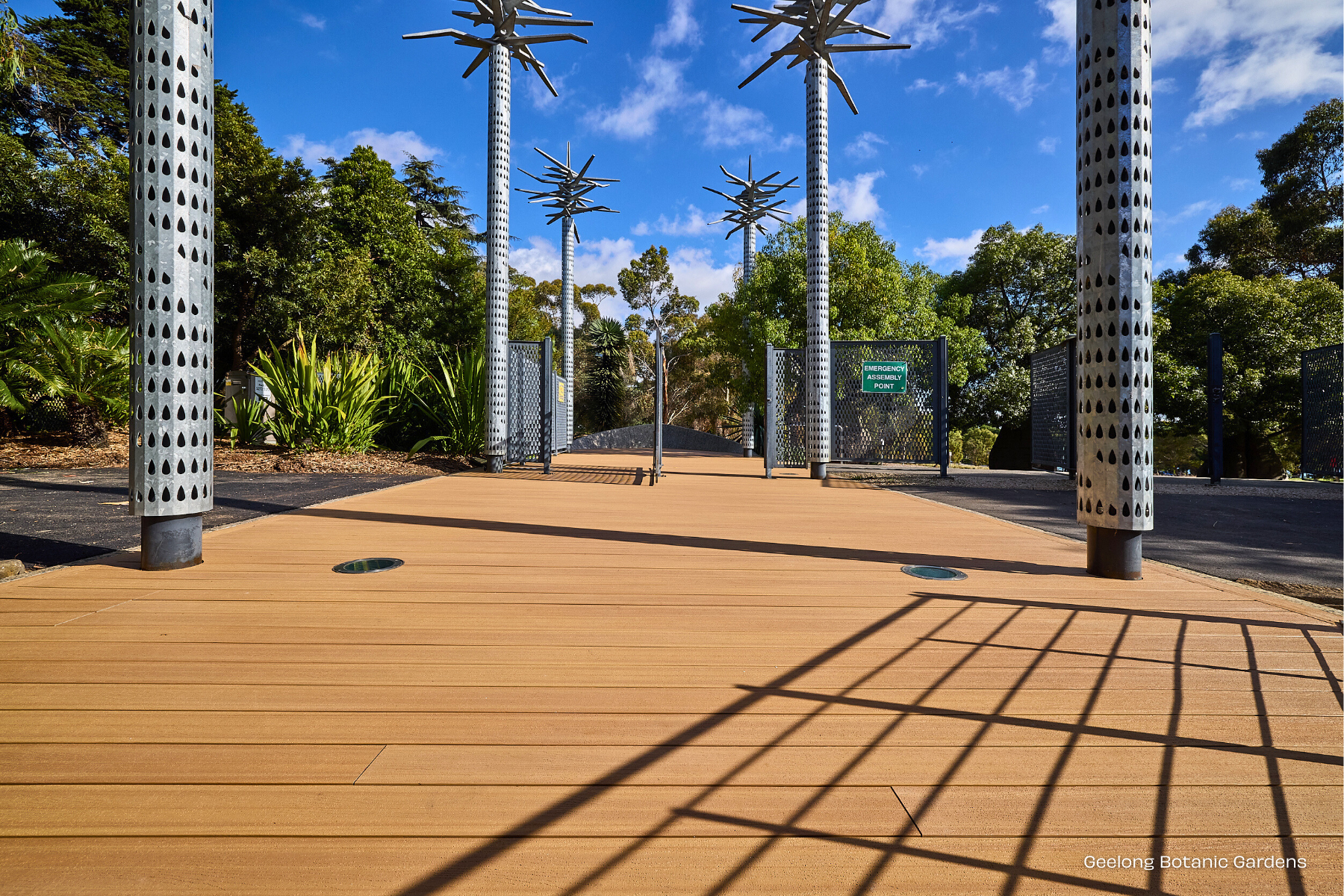 Blackbutt - Terrace Range