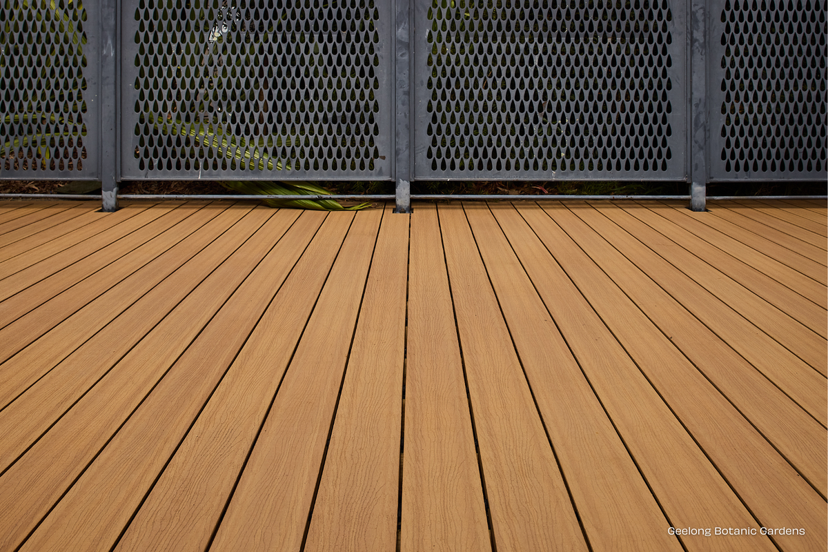 Blackbutt - Terrace Range