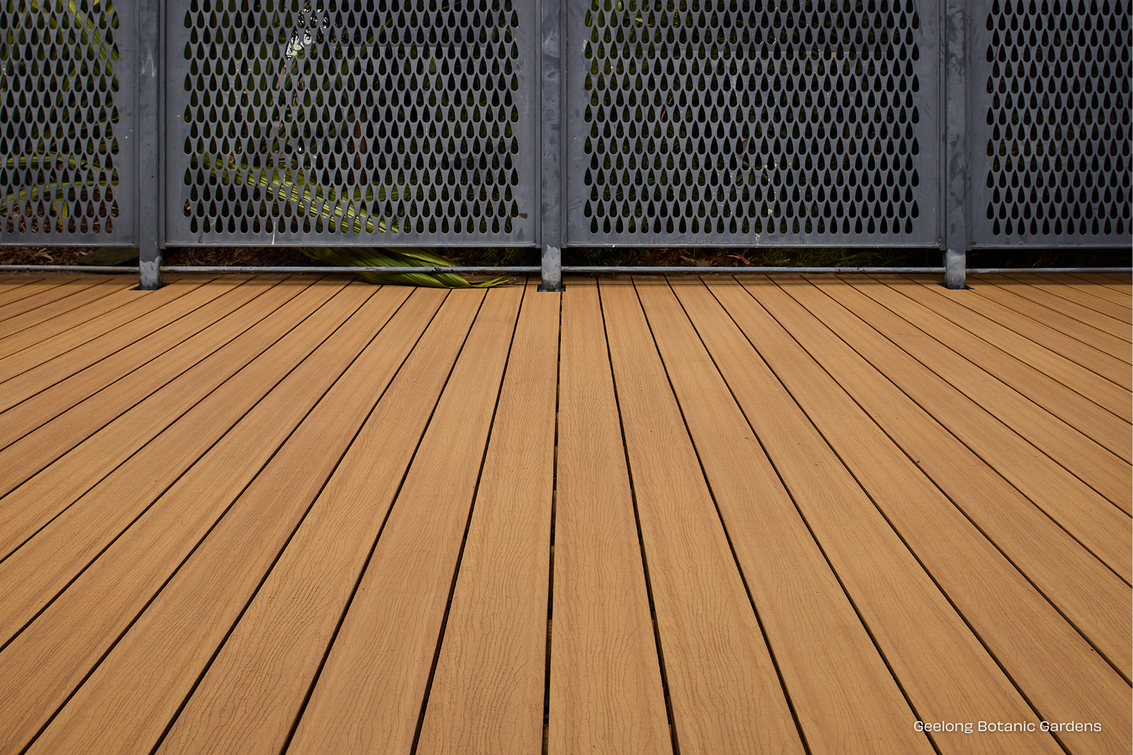 Blackbutt - Terrace Range