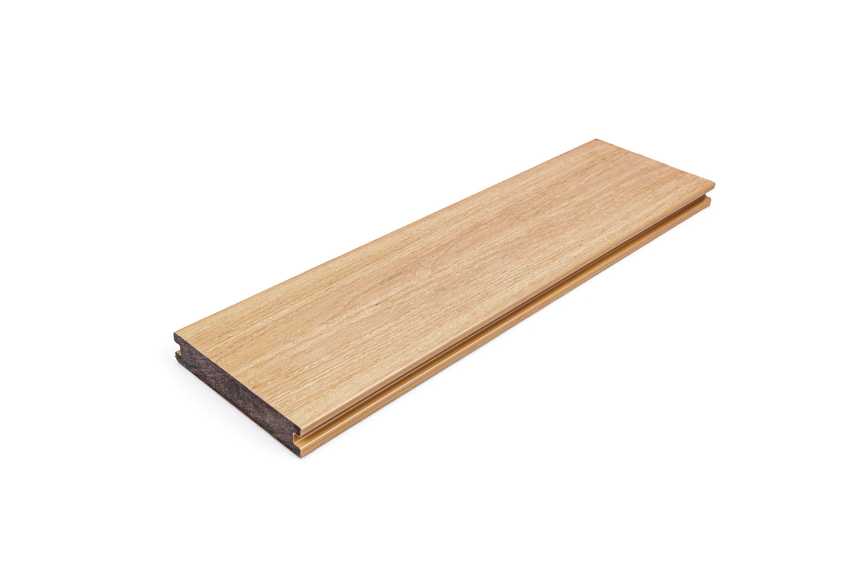 Blackbutt - Terrace Range