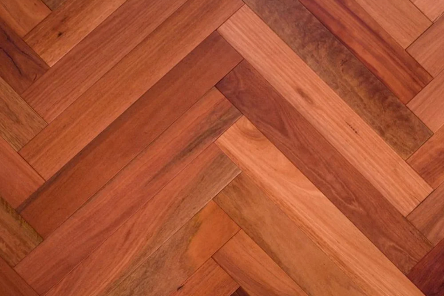 Sydney Blue Gum - Herringbone