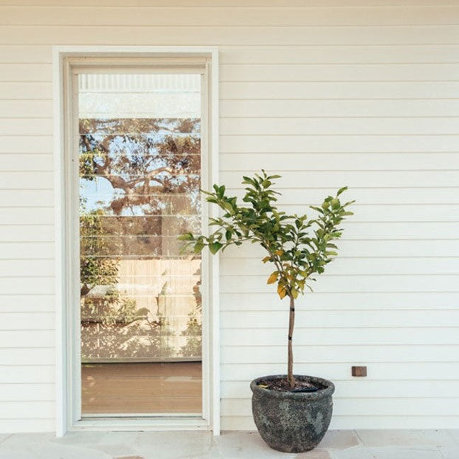 James Hardie™ Linea™ Weatherboards