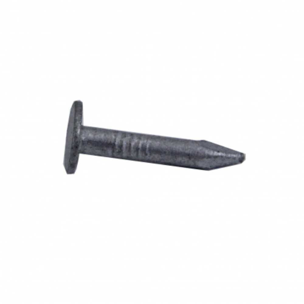 Otter® Clout Nails Galvanised 25 x 2.8mm
