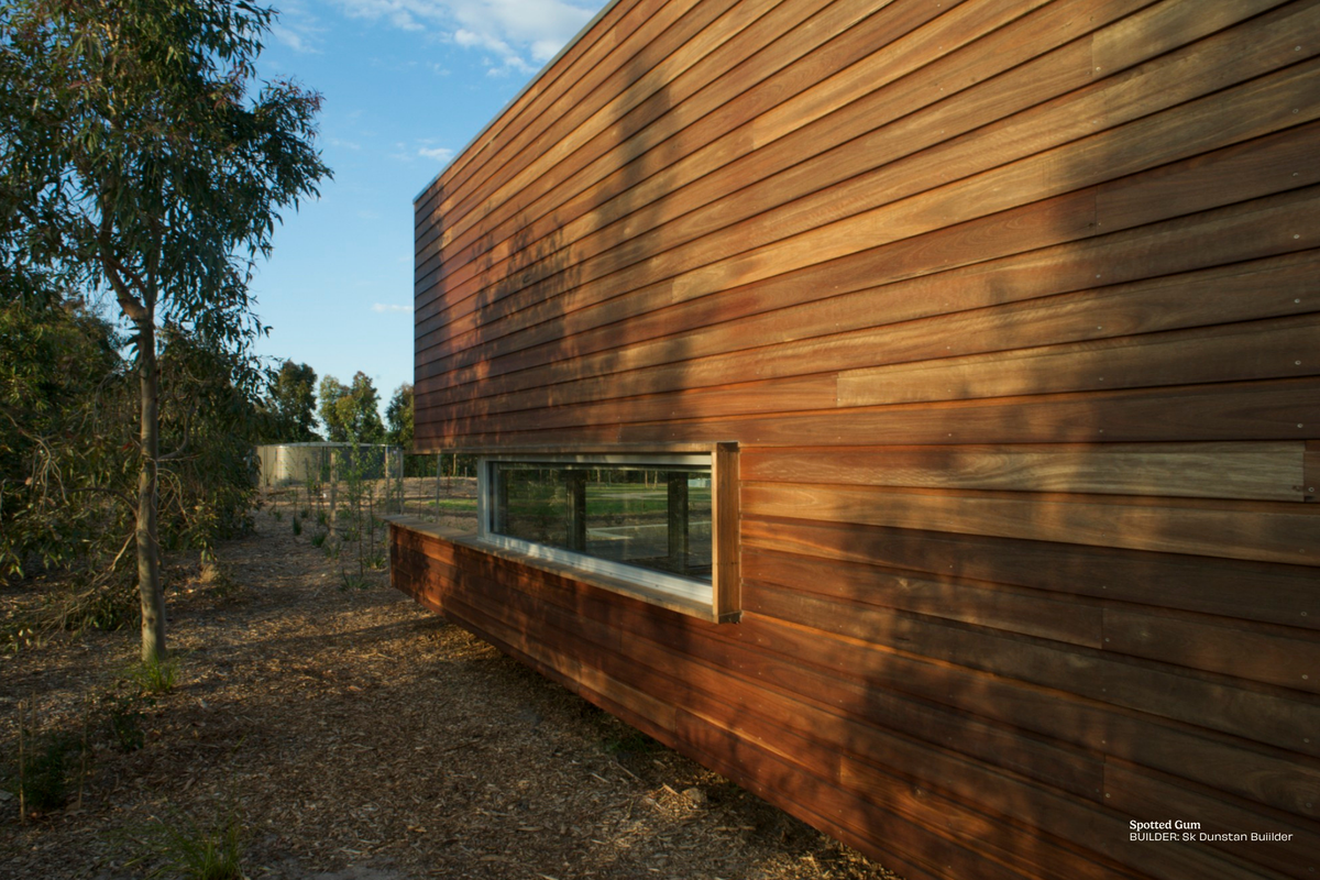 QLD Spotted Gum S&amp;B Shiplap Cladding