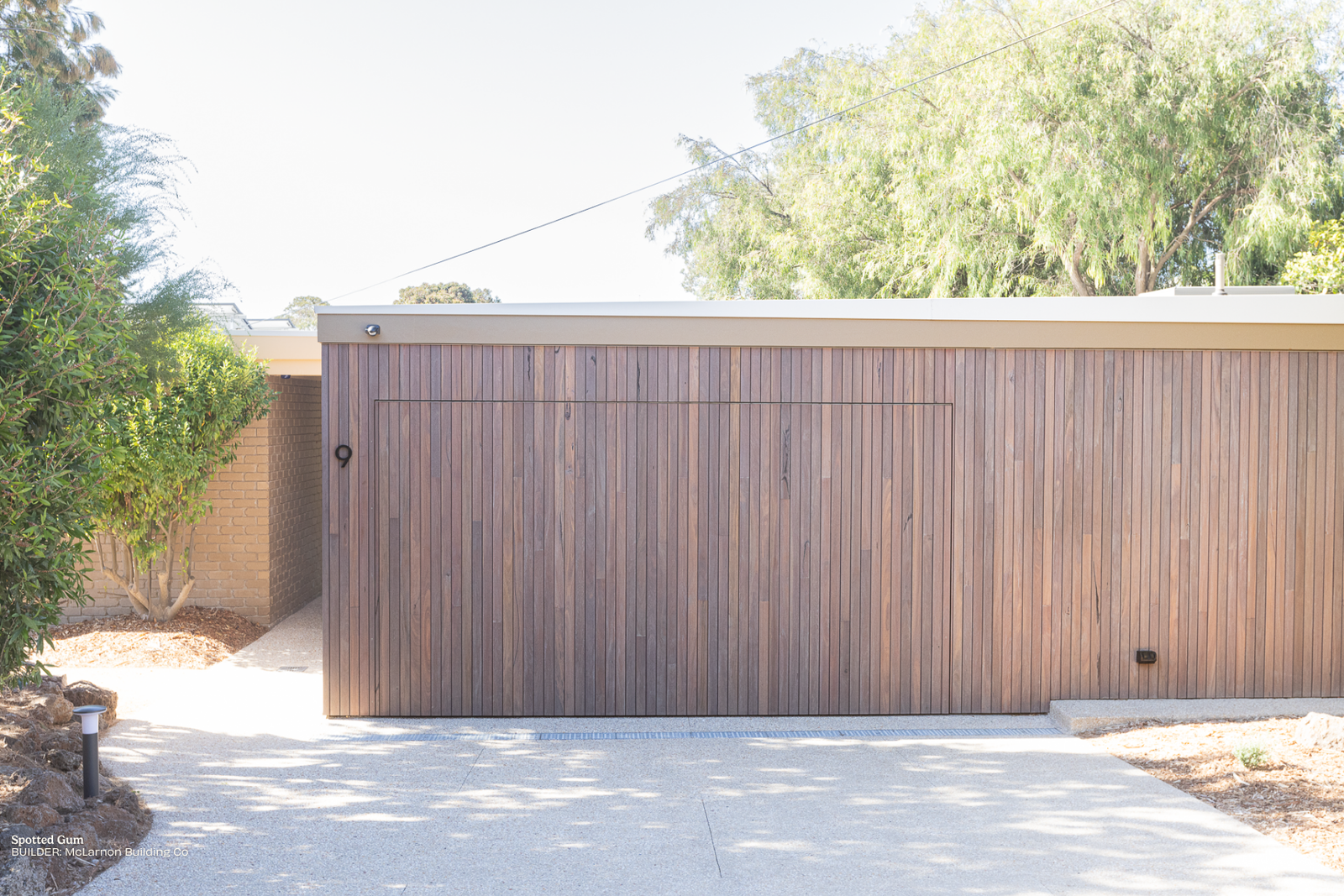 QLD Spotted Gum Shiplap Cladding