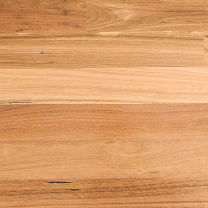 Blackbutt Pentarch Sample