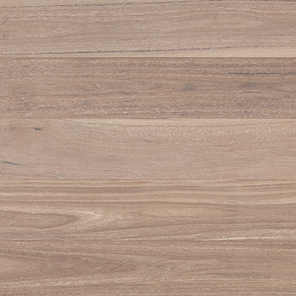 Sterling Pentarch Sample