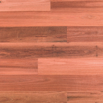 Sydney Blue Gum Pentarch Sample