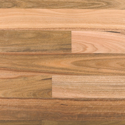 Spotted Gum Pentarch Sample