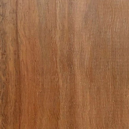 Queensland Spotted Gum